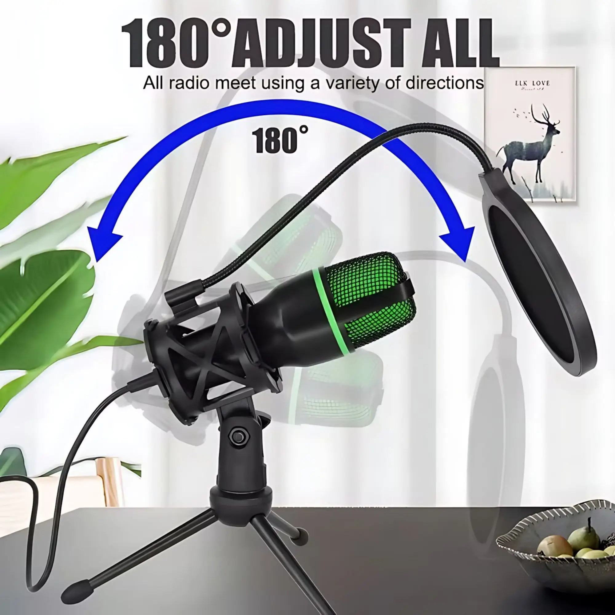 Professional USB Condenser Mic - огляд і ціна Condenser Microphone Kit