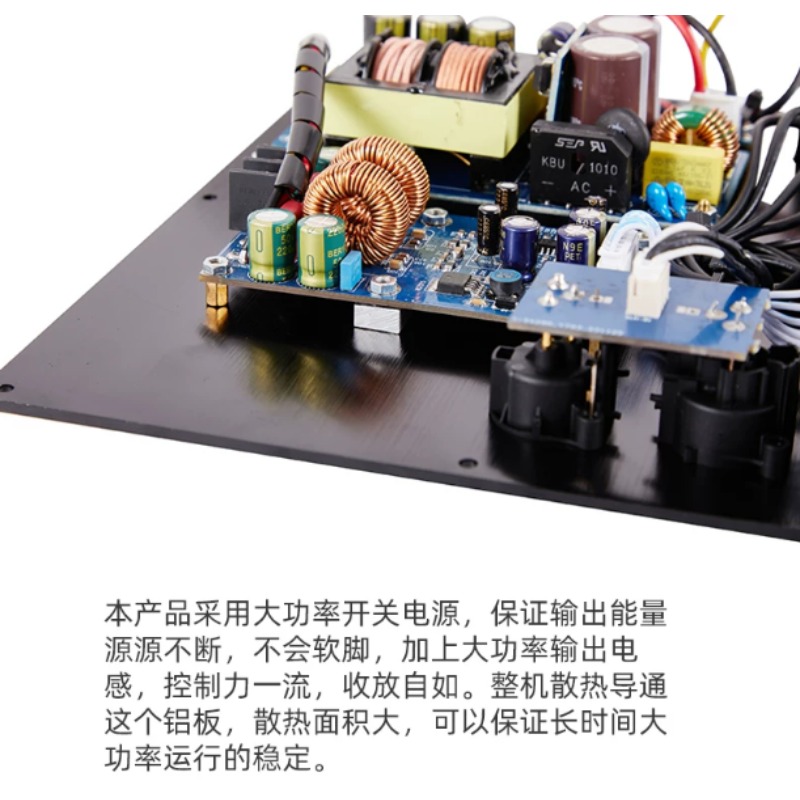 Balanced Signal Input TPA3255  - огляд і ціна Audio Amplifier Board