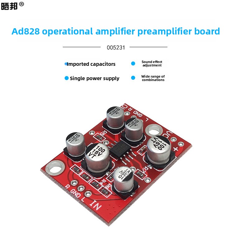 CHN 2027 Fever class AD828 op  - огляд і ціна Audio Amplifier Board